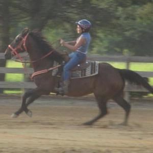 Meet your Posher, Amelea